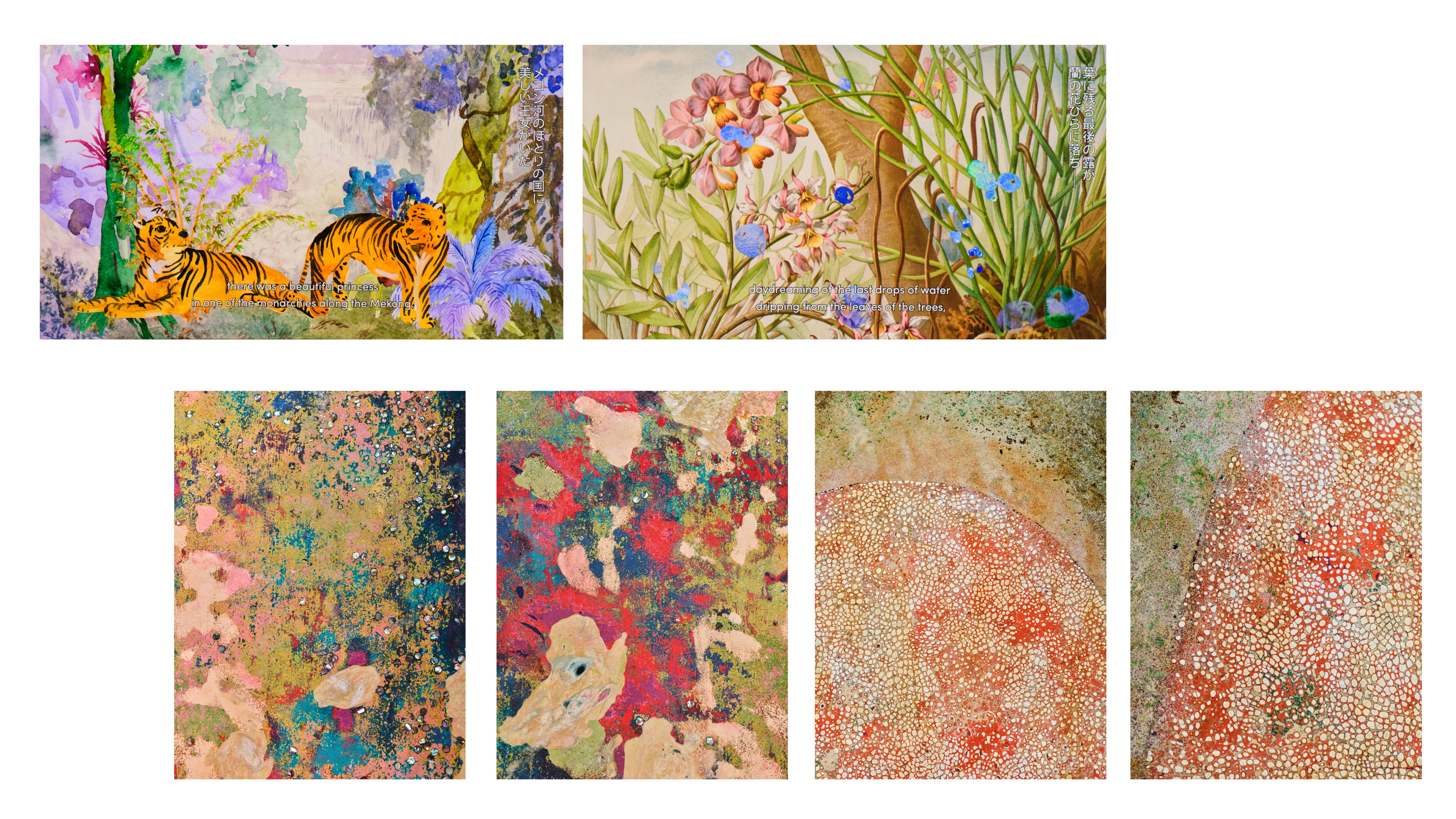 ROH The New Vision : Monet and the Contemporary Gaze